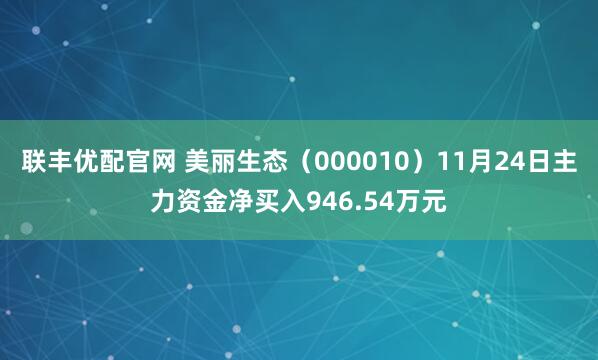 联丰优配官网 美丽生态（000010）11月24日主力资金净买入946.54万元