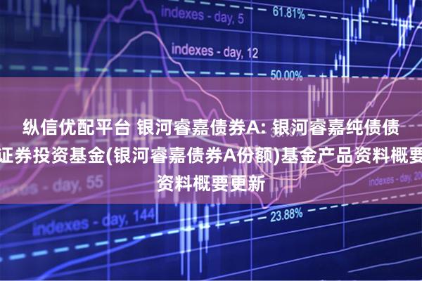 纵信优配平台 银河睿嘉债券A: 银河睿嘉纯债债券型证券投资基金(银河睿嘉债券A份额)基金产品资料概要更新